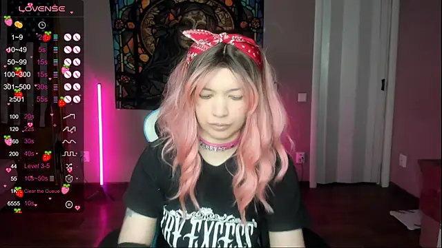 Project hisoka online show from January 2026 05:27:02 PM