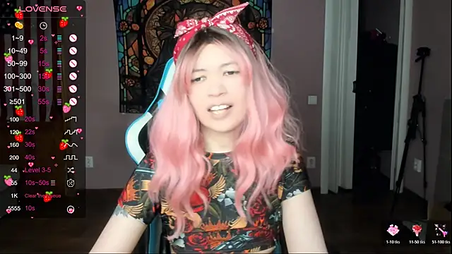 Project hisoka online show from April 2026 01:40:01 AM