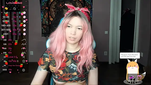 Project hisoka online show from April 2026 02:23:02 PM