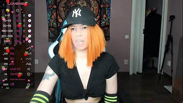 Project hisoka online show from April 2026 02:34:01 PM