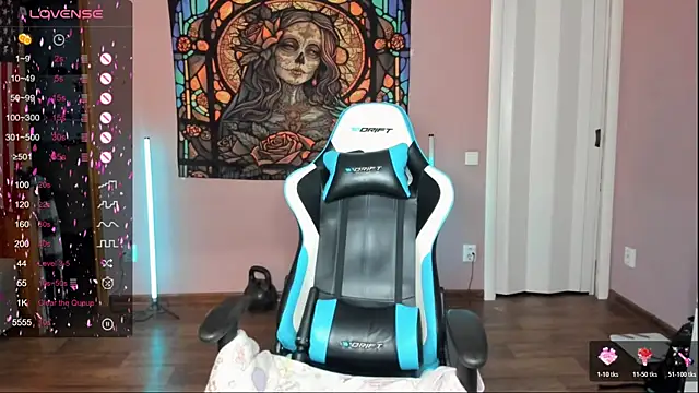 Project hisoka online show from November 2025 12:58:02 AM