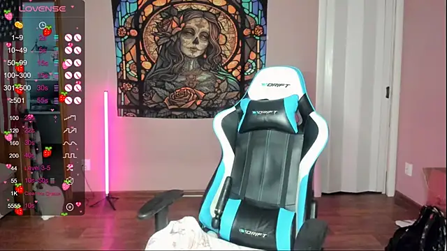 Project hisoka online show from January 2026 09:37:02 AM