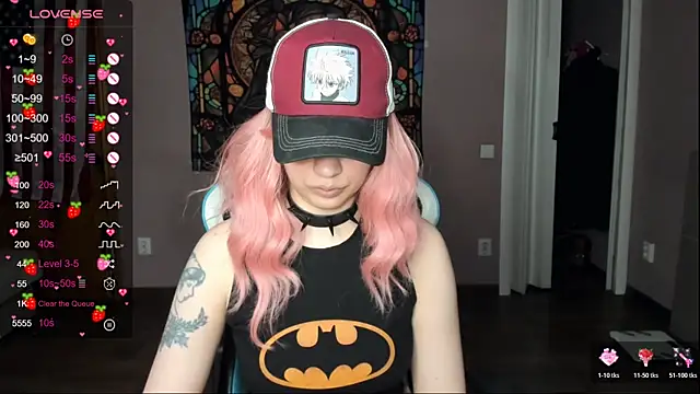 Project hisoka online show from March 2026 05:24:02 PM