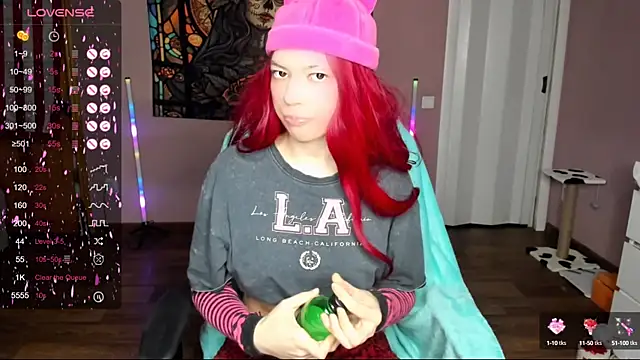 Snapshot of Project_hisoka chatting on February 2025 04:05:02 PM Project hisoka online show from February 2025 04:05:02 PM