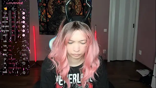 Project hisoka online show from November 2025 03:32:02 AM