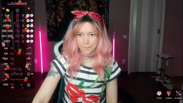 Project hisoka online show from January 2026 04:13:01 PM