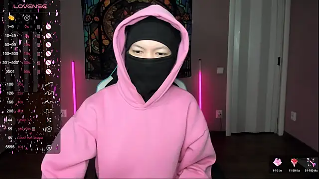 Project hisoka online show from December 2025 04:26:02 AM