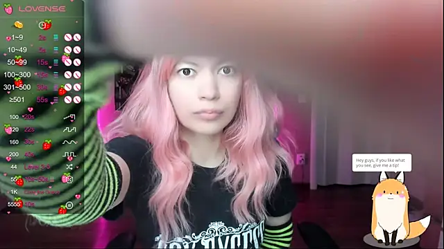 Project hisoka online show from January 2026 04:08:01 AM