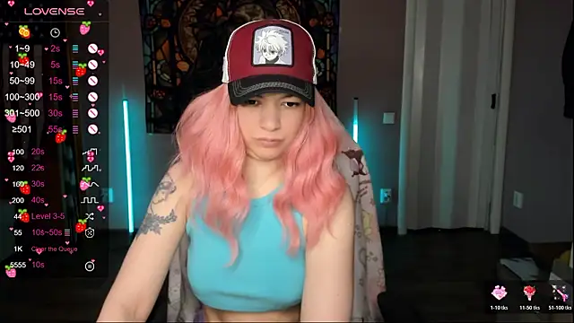 Project hisoka online show from February 2026 02:53:01 AM