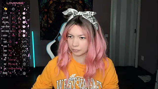 Project hisoka online show from November 2025 11:25:01 AM