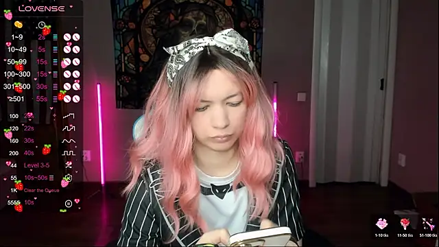 Project hisoka online show from January 2026 04:10:02 PM