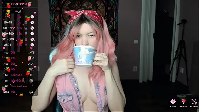 Project hisoka online show from April 2026 08:29:02 AM