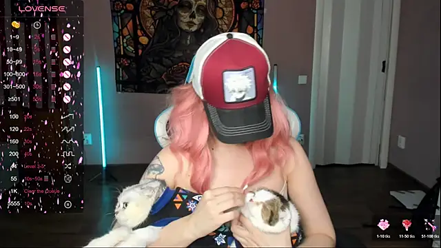 Project hisoka online show from November 2025 04:05:01 AM