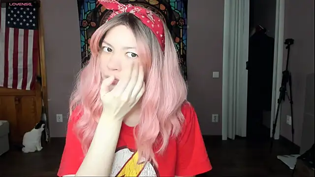 Project hisoka online show from April 2026 04:41:01 AM