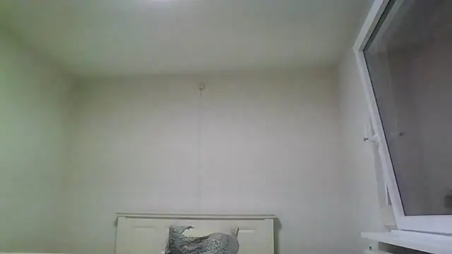 Wesleymodel online show from February 2026 07:24:01 PM