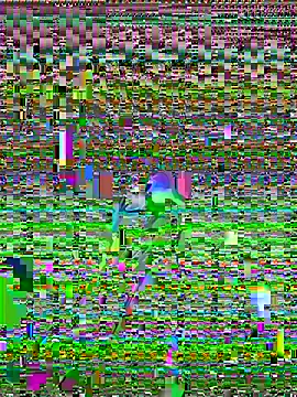 cadenfoxx111 online show from May 2026 05:20:02 PM