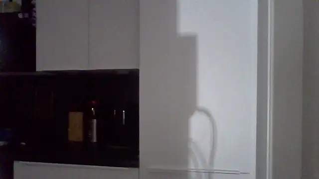 penzler86 online show from April 2026 11:01:01 PM