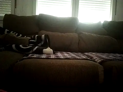 Jrrj2024 online show from February 2026 03:42:01 PM