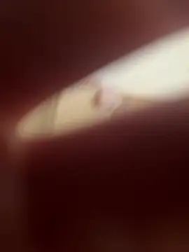 Kemenyfasz93 online show from March 2025 12:42:02 PM