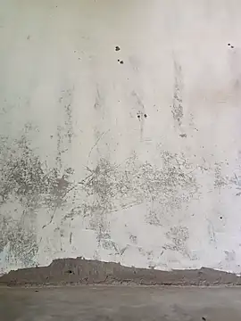 Yasha 14C Creator online show from October 2025 04:03:01 AM