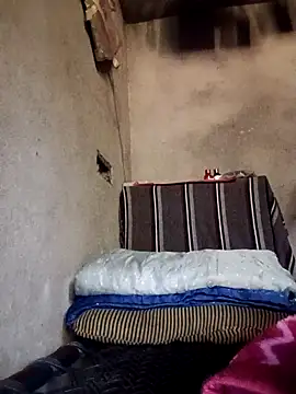 Yasha 14C Creator online show from December 2025 05:17:02 AM