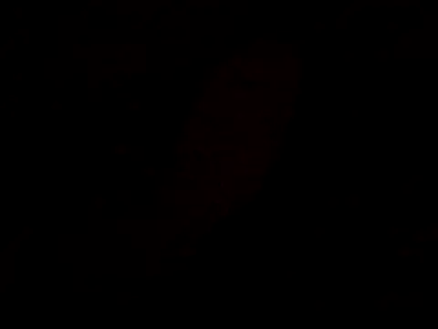 Snapshot of pnp0Japan chatting on February 2025 04:47:01 PM pnp0Japan online show from February 2025 04:47:01 PM