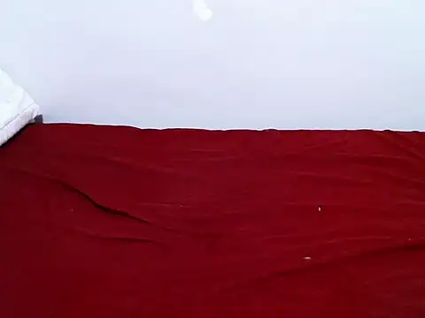 Snapshot of Rukaia_ chatting on November 2025 08:14:01 PM Rukaia online show from November 2025 08:14:01 PM