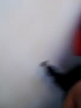 Snapshot of Chatlitos4879 chatting on February 2026 08:08:02 PM Chatlitos4879 online show from February 2026 08:08:02 PM