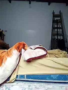 Chatlitos4879 online show from April 2026 10:52:01 AM