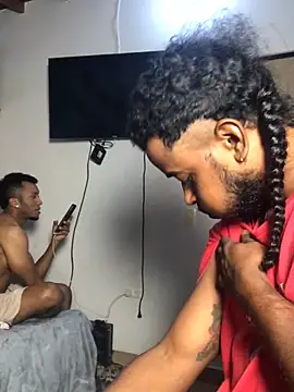 gavi 19cm online show from February 2026 02:01:01 AM