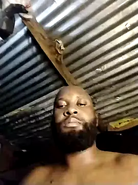 Snapshot of Stallion100 chatting on February 2025 04:51:01 PM Stallion100 online show from February 2025 04:51:01 PM