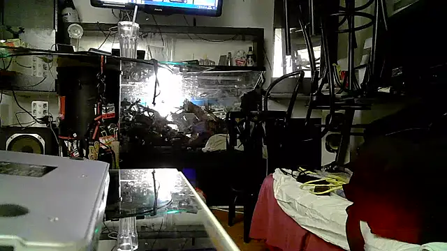 0815lukas2024 online show from November 2025 05:05:01 PM