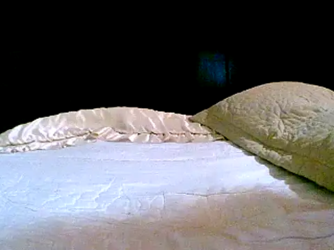 pollarikaaa online show from December 2024 01:49:01 AM