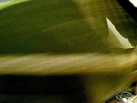 pollarikaaa online show from October 2025 04:02:02 AM