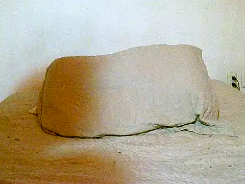 pollarikaaa online show from December 2025 12:06:01 AM