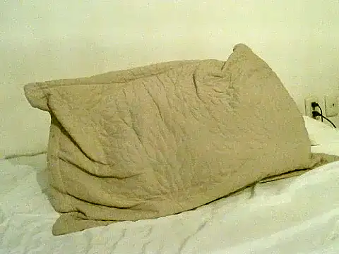 pollarikaaa online show from November 2025 10:58:01 PM