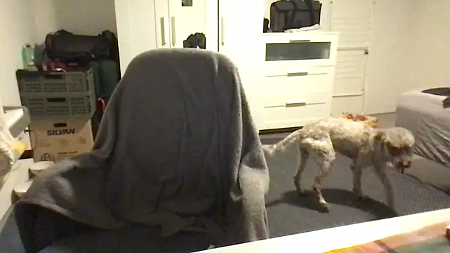 Totipro69 online show from February 2025 07:05:02 PM