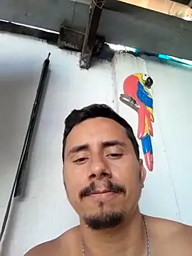Snapshot of luissilva0071 chatting on February 2025 03:26:01 PM luissilva0071 online show from February 2025 03:26:01 PM