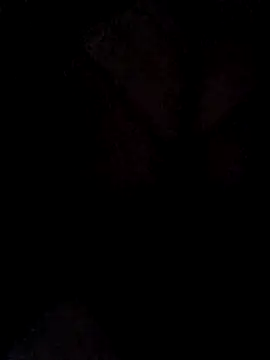 hugebobbs online show from March 2026 11:03:01 AM