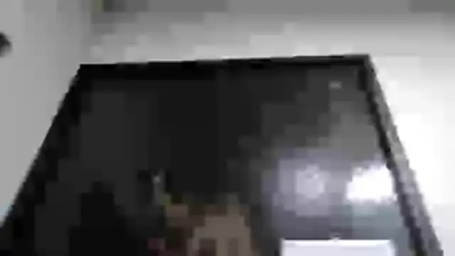 mmmVirginia online show from March 2026 02:55:02 AM