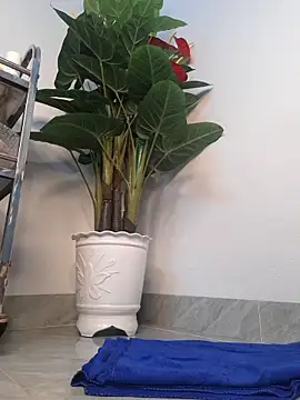 Dawn hope online show from March 2026 09:42:01 AM