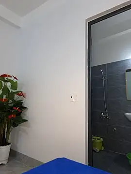 Dawn hope online show from February 2026 02:44:02 AM