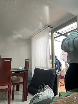 Salome golvert online show from March 2026 08:38:02 PM