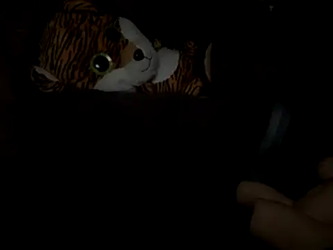 Snapshot of SlimeCrownzOut5 chatting on November 2025 04:16:01 AM SlimeCrownzOut5 online show from November 2025 04:16:01 AM