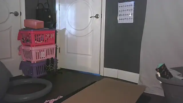 paytonkelly online show from March 2026 09:52:02 PM