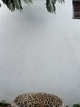 Chicavixy online show from February 2025 10:52:02 PM