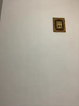 Snapshot of afrodizyak chatting on November 2025 10:30:01 AM afrodizyak online show from November 2025 10:30:01 AM