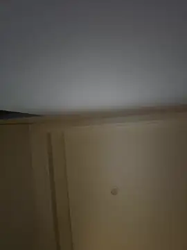 palzkybi123 online show from March 2026 01:00:01 PM