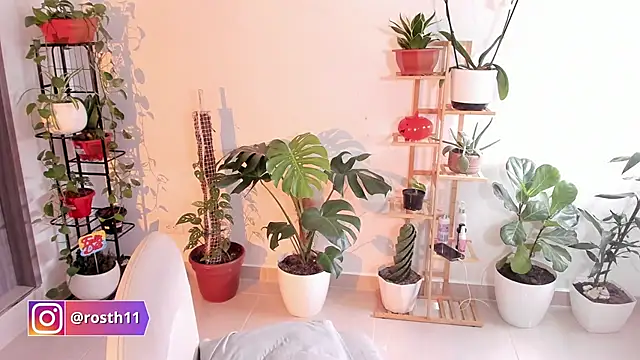 rossth1 online show from November 2025 08:36:02 PM