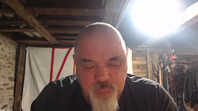 Newfiesausage1972 online show from February 2026 11:38:02 AM